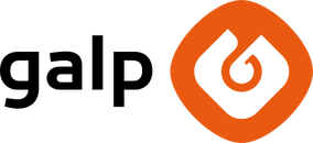 Partner 7